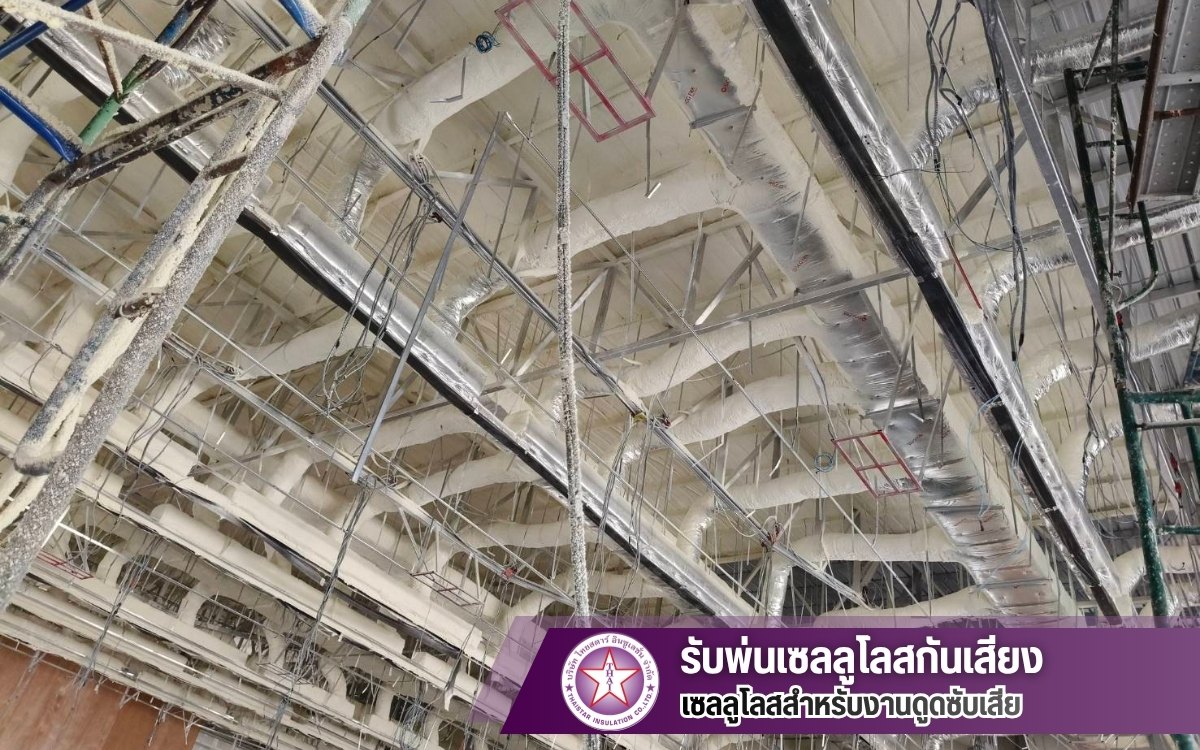 ติดตั้งเซลลูโลสเพื่อลดเสียงสะท้อน ติดตั้งเซลลูโลสเพื่อลดเสียงสะท้อน